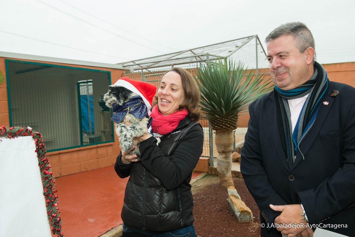 Francisco Caldern en la presentacin de la campaa 'Adopta, no compres'