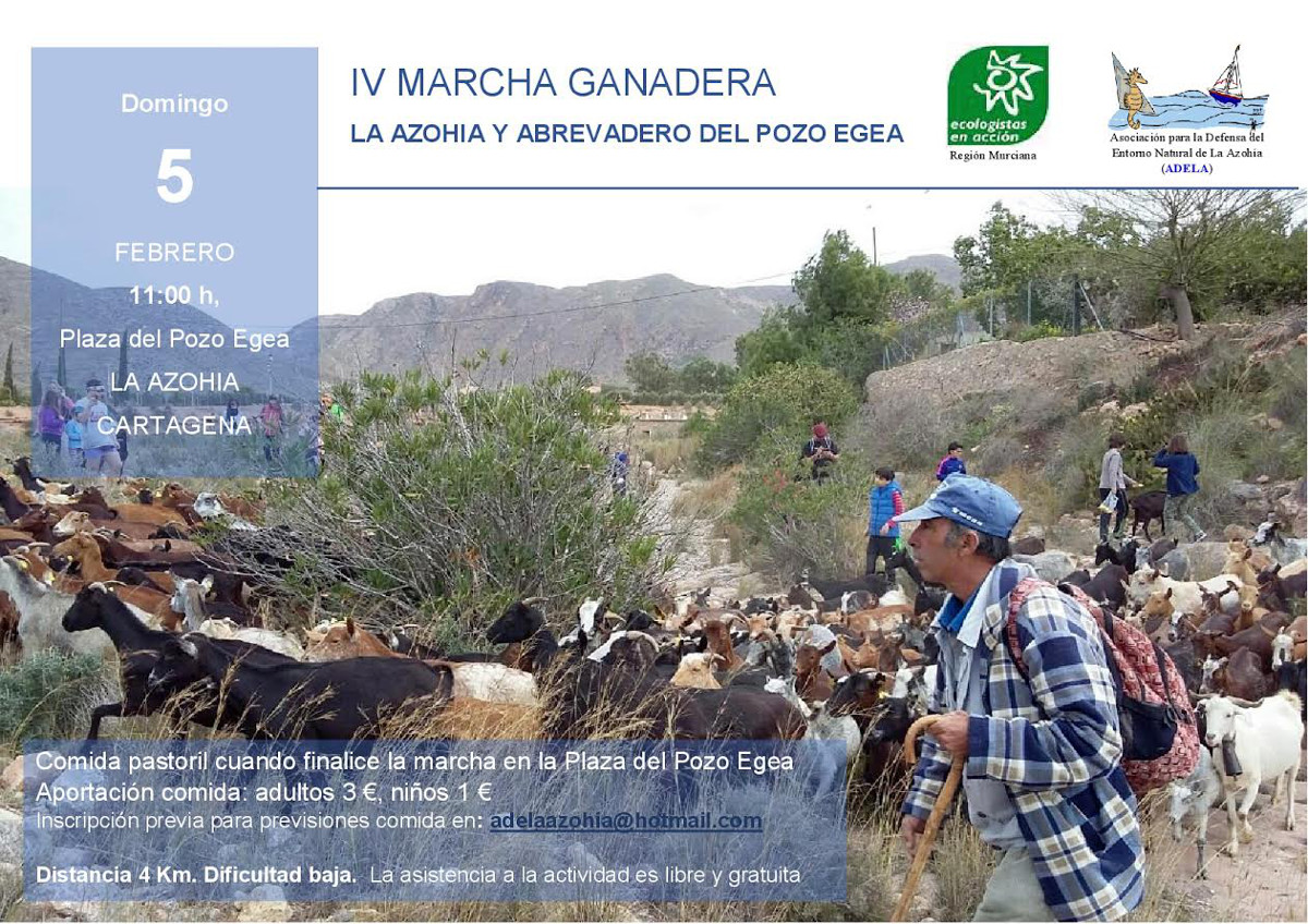 El alcalde participa en la IV Marcha Ganadera de La Azohia 2 102330