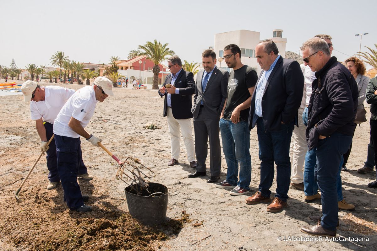 Comienzan las labores de limpieza del Mar Menor en la zona de Los Urrutias