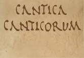 Exposicin Cantica Canticorum en el Museo del Teatro Romano