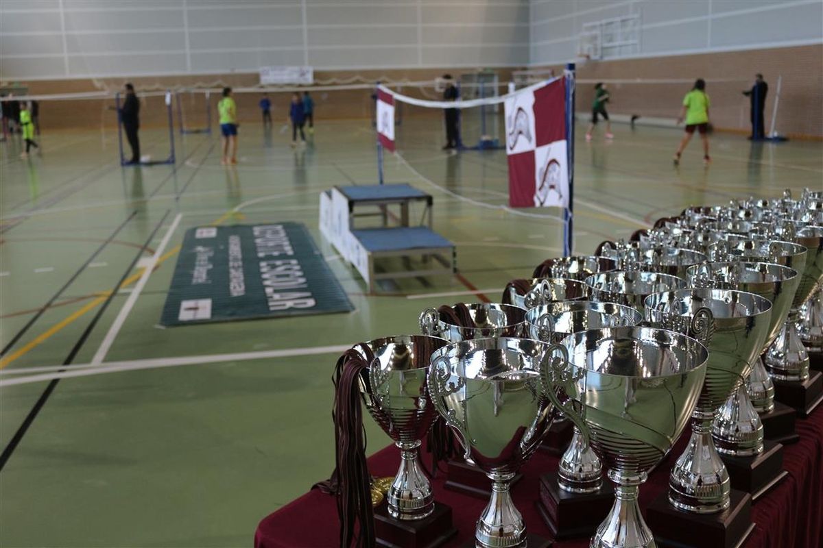 Final Regional Escolar de Bdminton en El Albujn