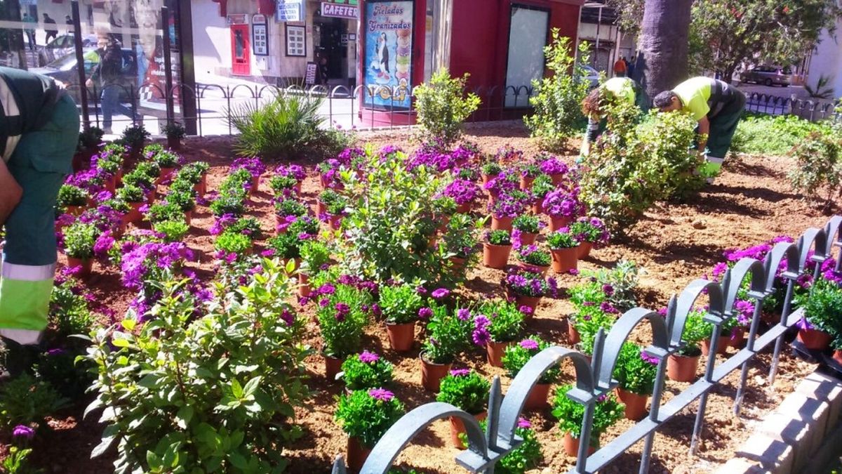 Trabajos de reposicin de flores en parterres y jardines