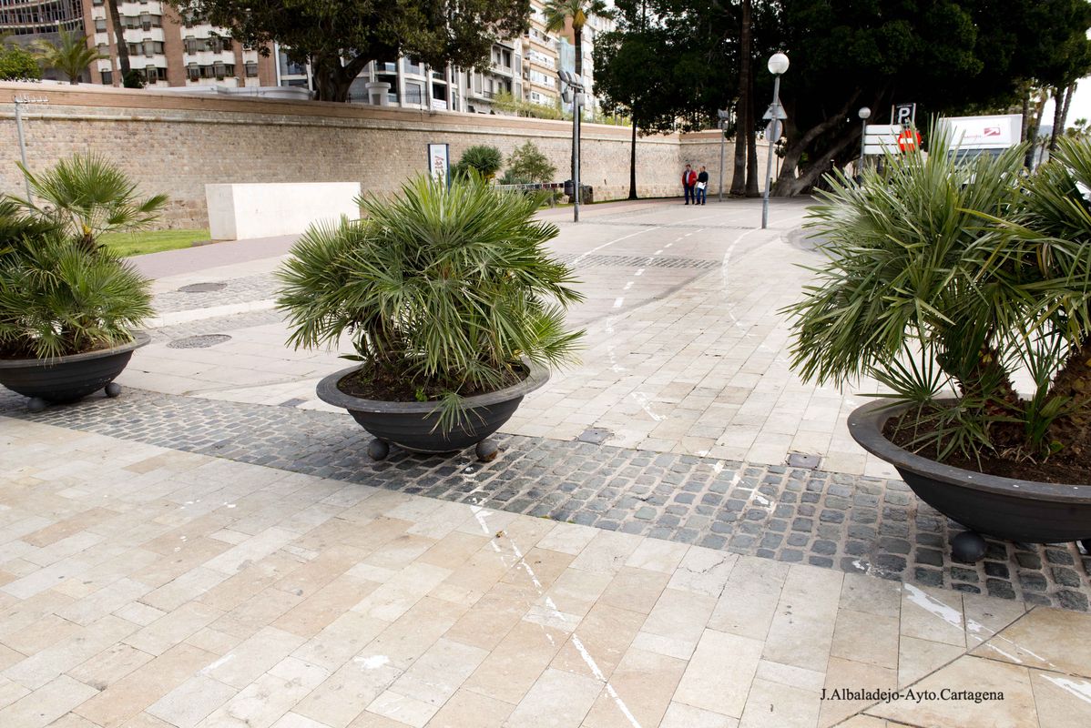 La Polica Local incrementa las restricciones de trfico en el Casco Antiguo para garantizar la seguridad