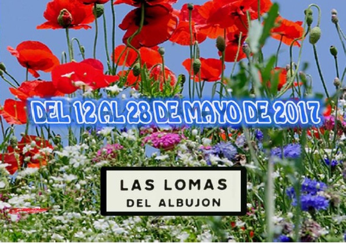 Cartel Fiestas de Las Lomas del Albujn 2017