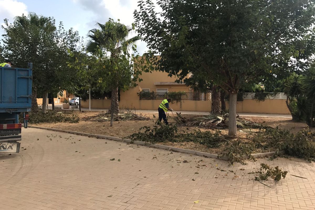 Labores de poda durante el verano 2017 en el municipio de Cartagena