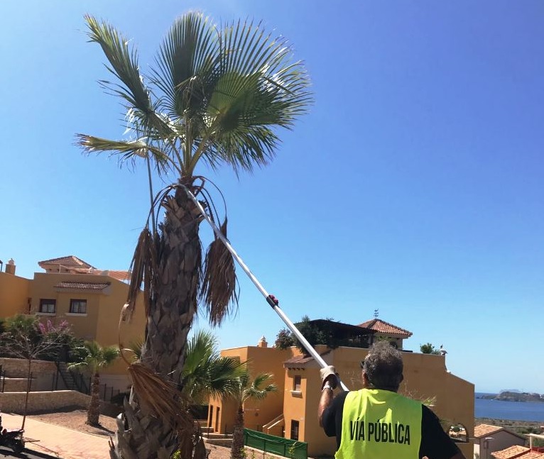 Trabajos en zonas ajardinadas de Isla Plana y La Azoha