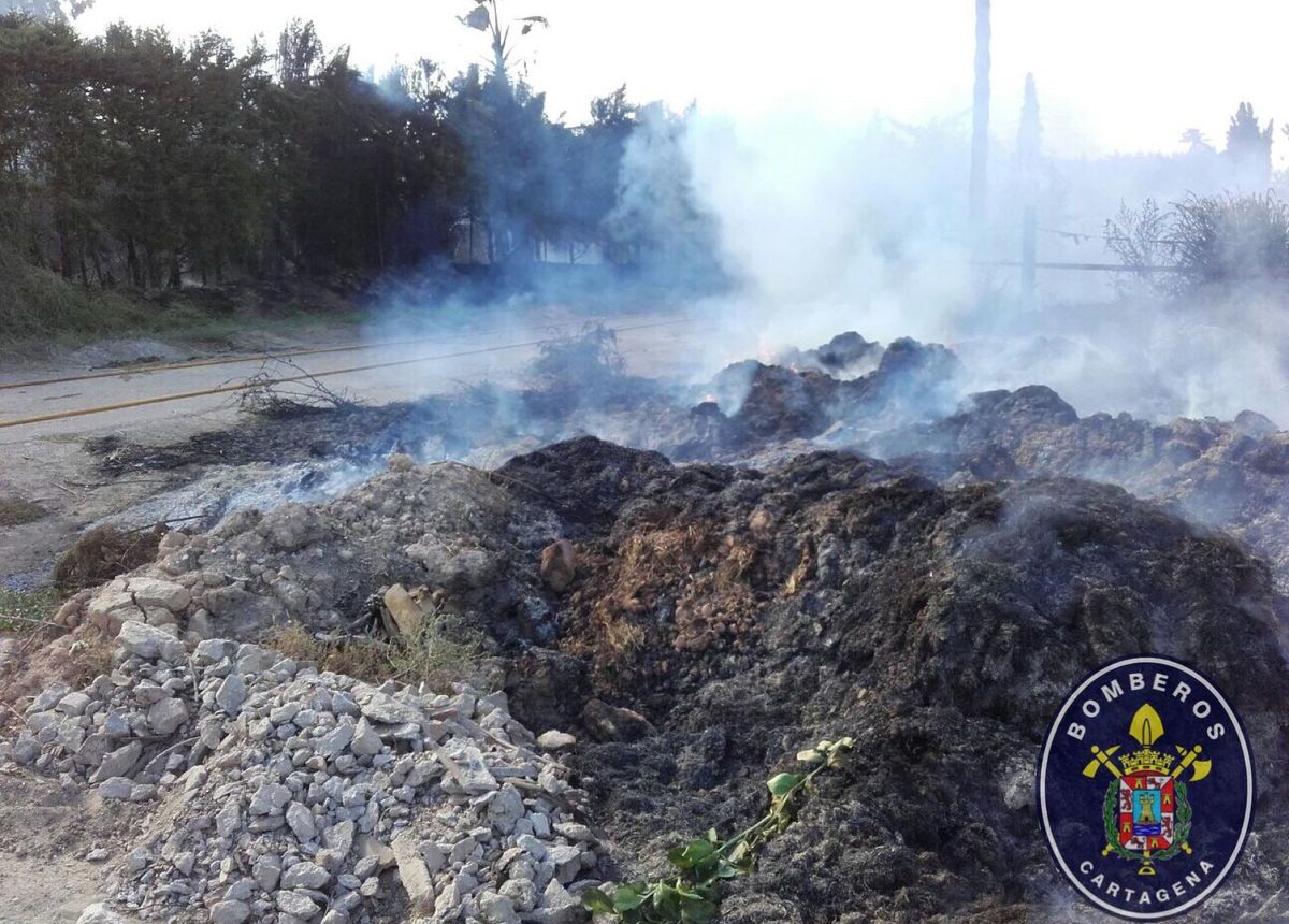 Incendio provocado por la quema de restos de poda en la carretera de La Palma