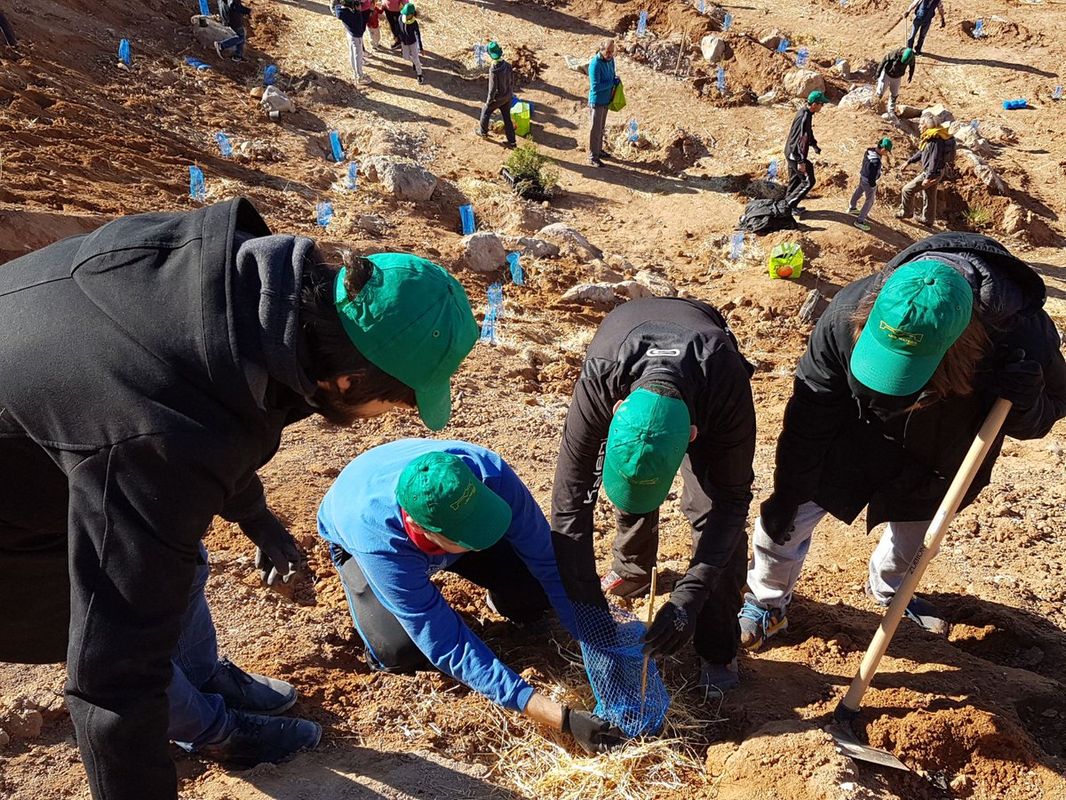 Jornada de reforestacin en el Cerro de los Moros