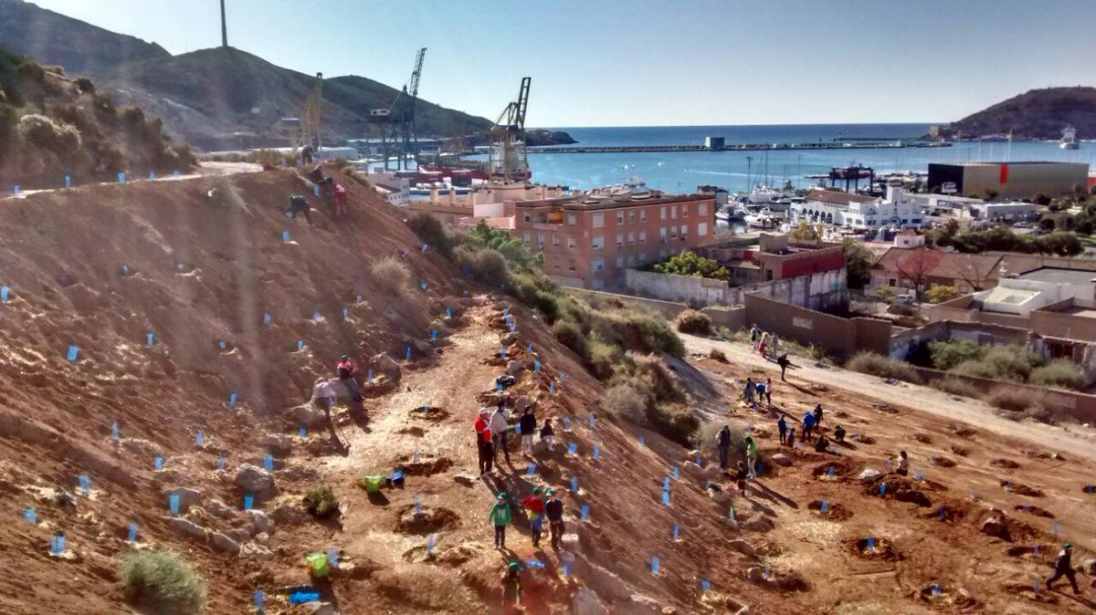 Jornada de reforestacin en el Cerro de los Moros