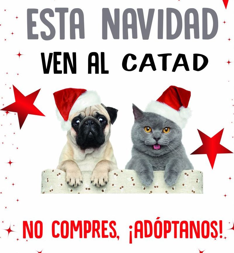 La campaa 'No compres, Adptanos!' CATAD