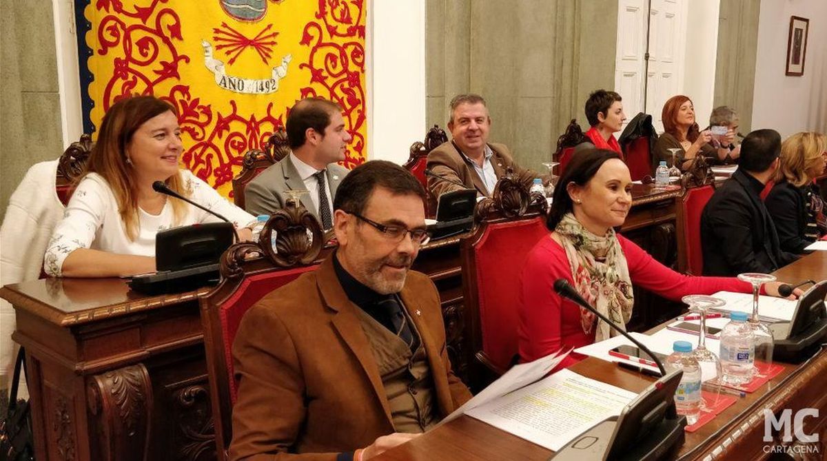 Pleno Extraordinario 2018-01-18