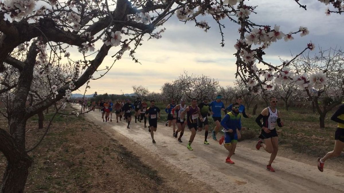 Foto ganadora Concurso de Fotografa del VI Trail de La Aljorra