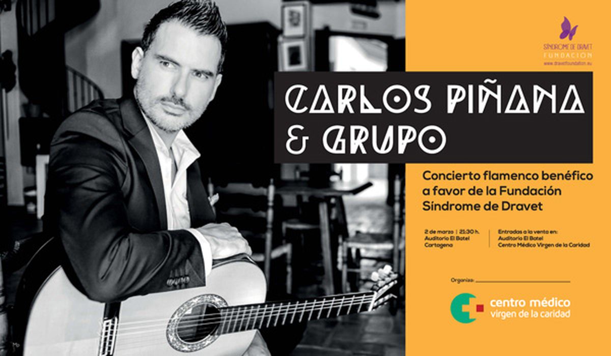 Concierto solidario de Carlos Piana a favor de la Fundacin Sndrome de Dravet