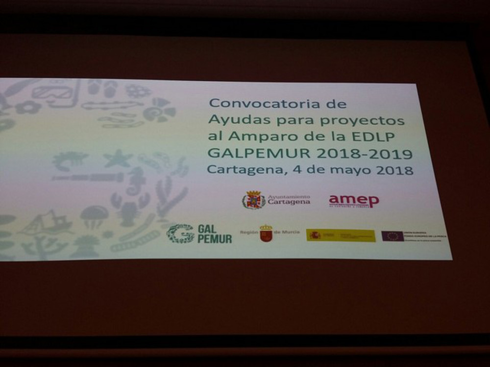 Convocatoria de ayudas de Galpemur