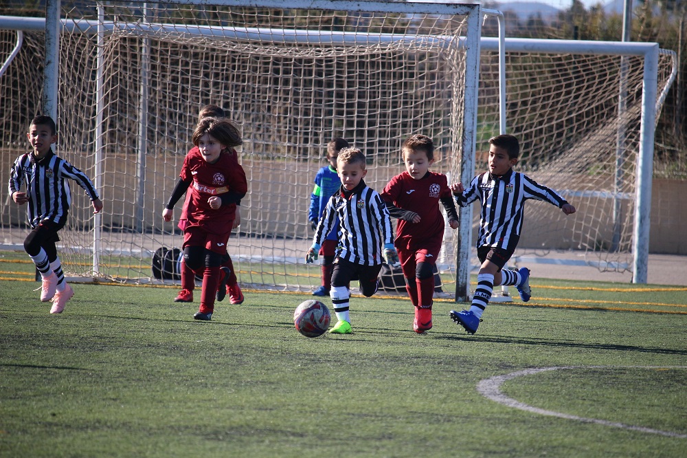 Liga comarcal de ftbol base