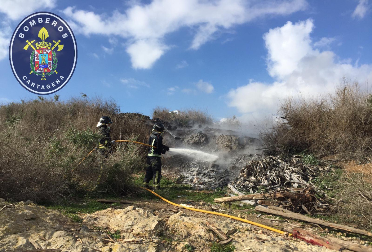 Bomberos sofocando un incendio de matorral en la zona de Los Mateos