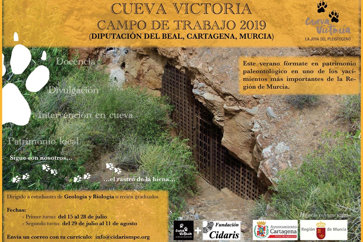 Campo de trabajo 2019 en Cueva Victoria