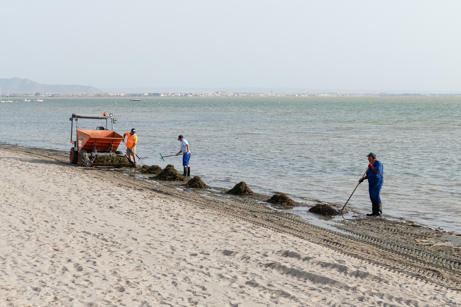 Labores de limpieza en playas del Mar Menor