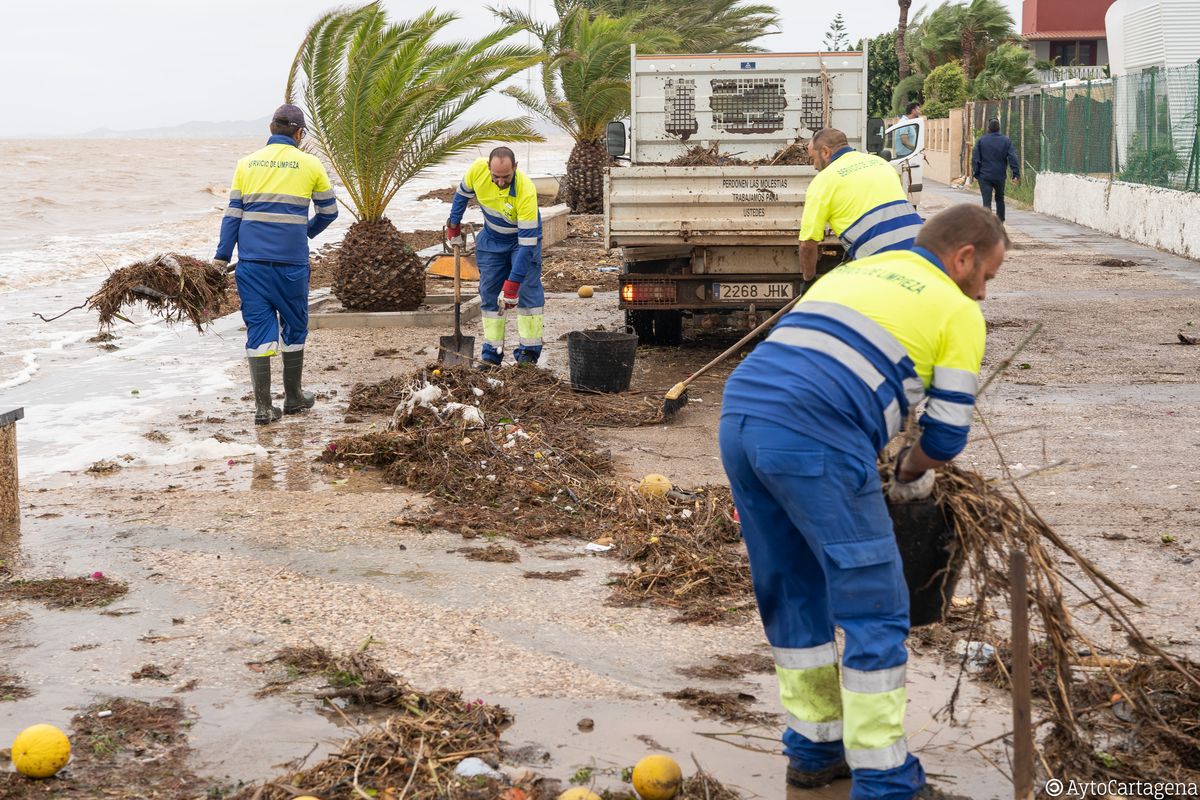 El Gobierno municipal supervisa la recuperacin del litoral del Mar Menor y las zonas oeste y norte afectadas por la gota fra