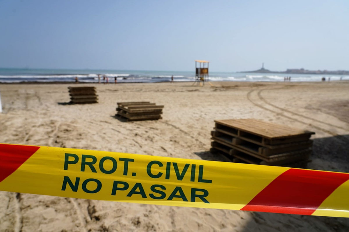 Atunes muertos en las playas de La Manga