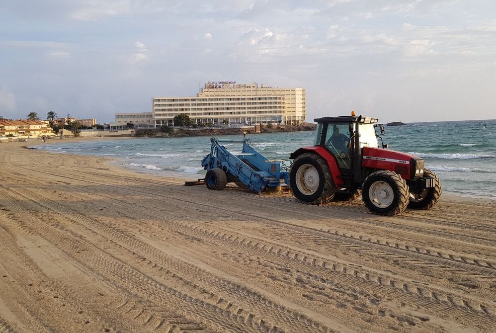 Los servicios del Litoral del Ayuntamiento de Cartagena limpian la arena de la playa del Gala para su apertura al bao tras la retirada de atunes muertos.