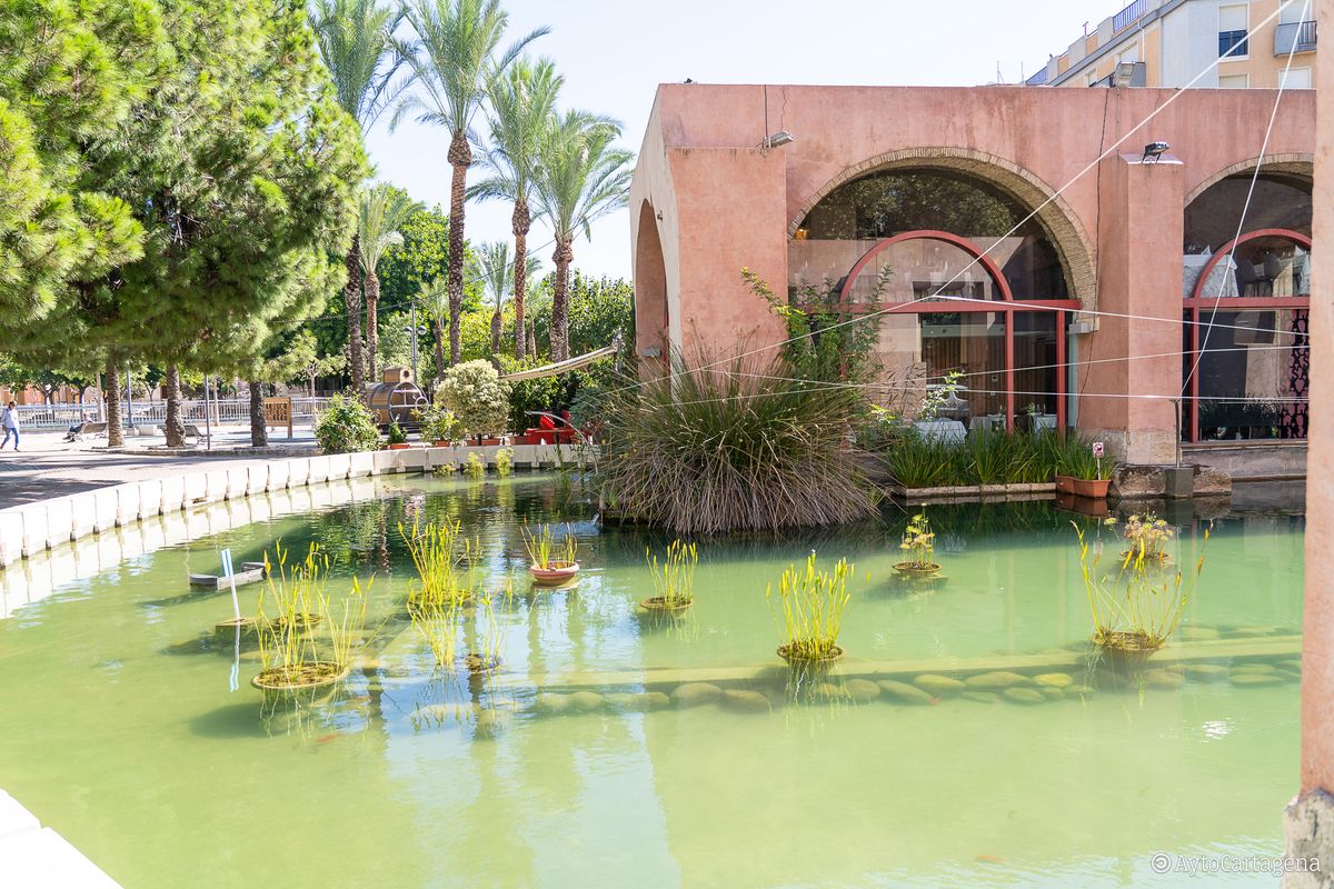 Estanque de la plaza de Juan XXIII donde tuvo lugar el rescate del felino