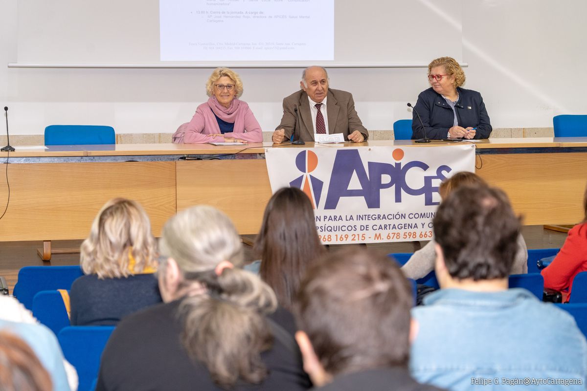 Jornada Salud Mental y Comunicacin APICES Cartagena