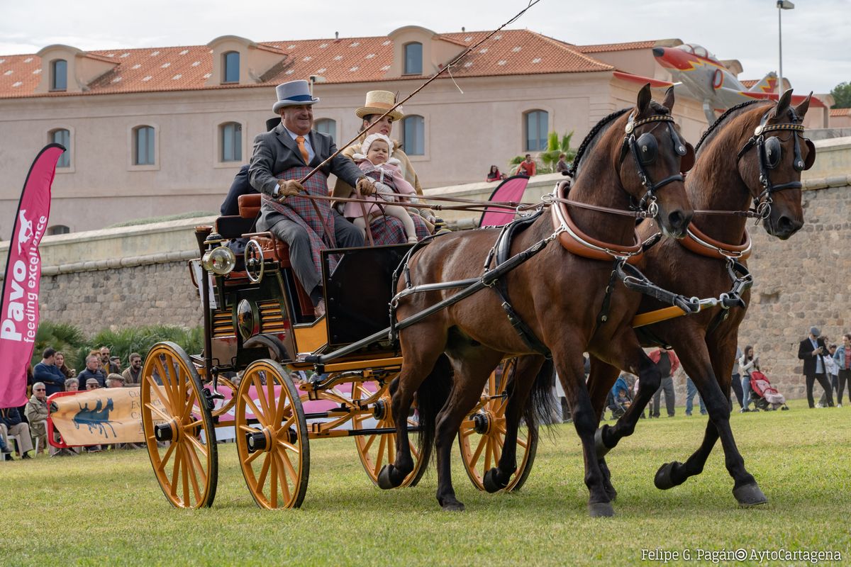 Concurso Nacional de Enganches de Tradición