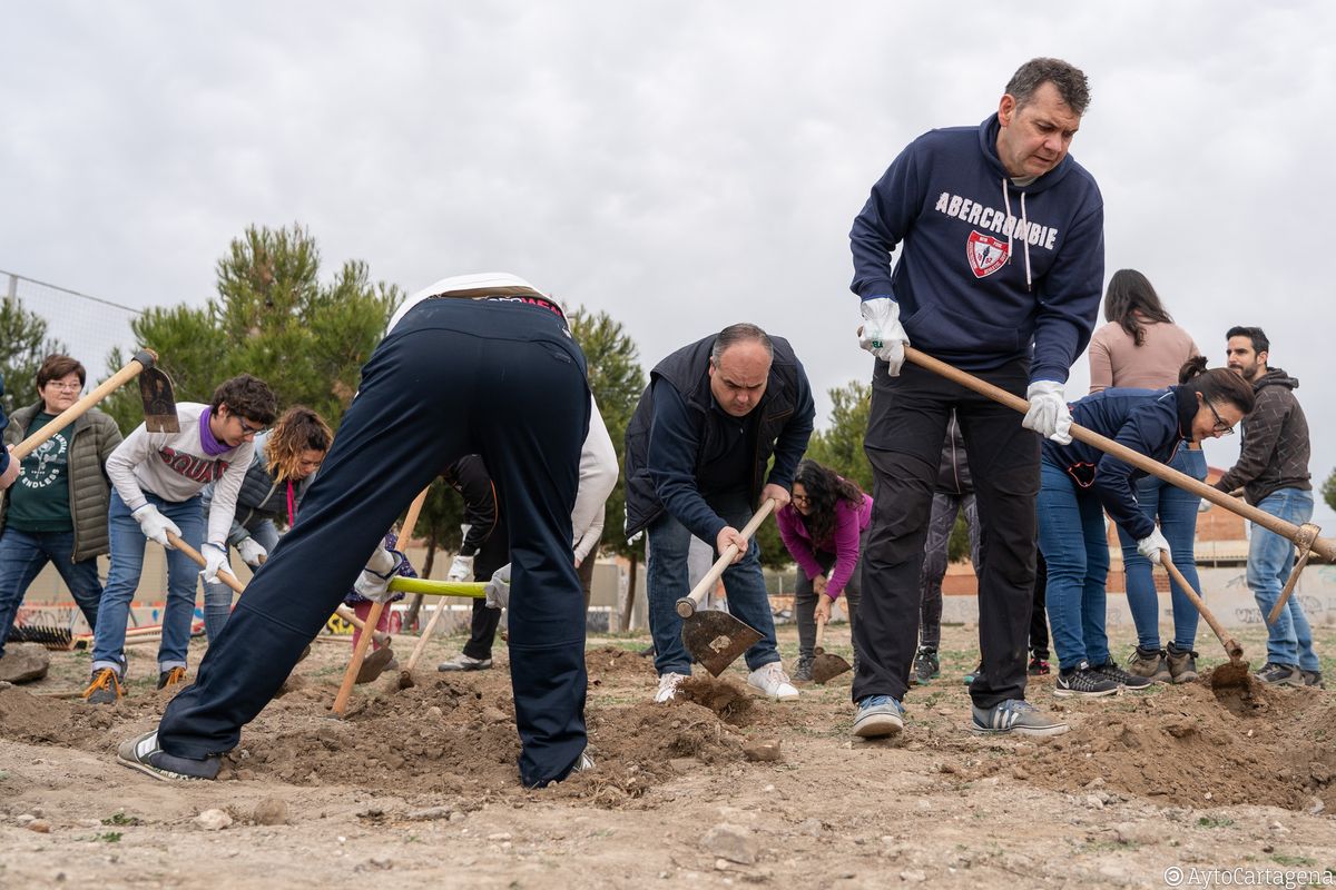 Plantacin de Huerto Ecolgico en San Antn