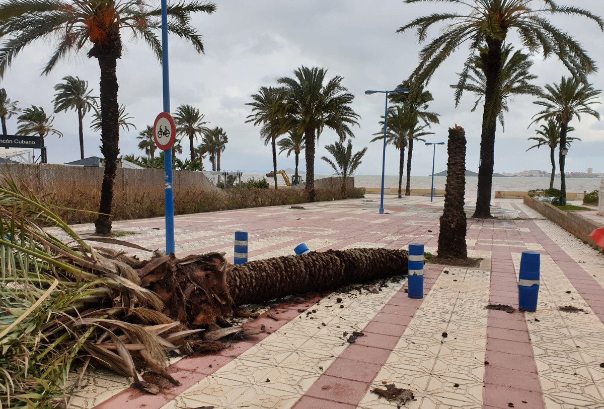 Incidencias provocadas por el temporal en las playas del litoral cartagenero