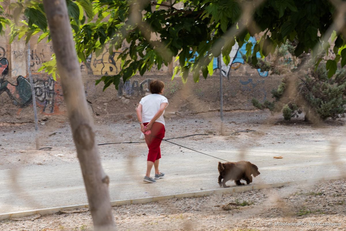Imagen de archivo. Paseando un perro por la Vía Verde