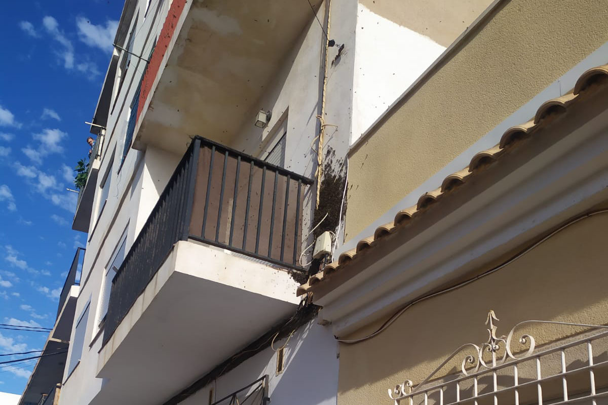 Panal de abejas retirado por los bomberos de la fachada de un edificio