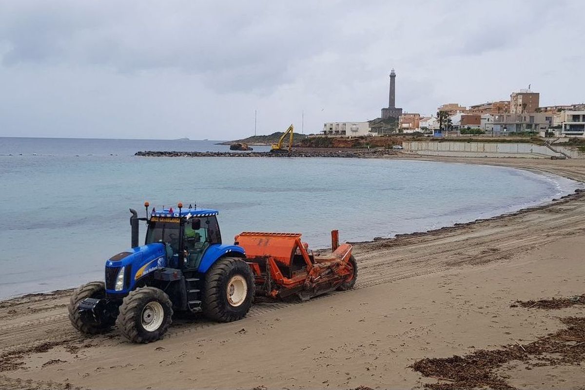 Trabajos de mantenimiento en los arenales del Mar Menor