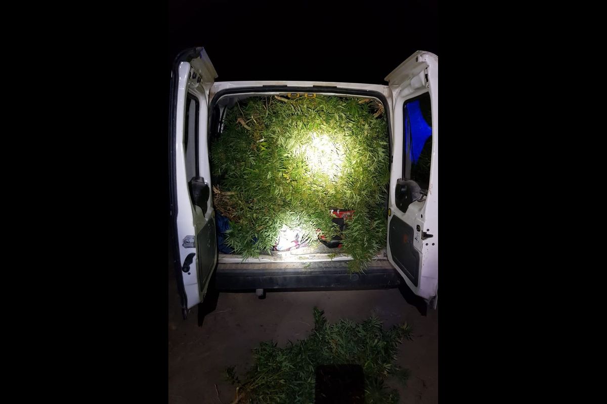 Vehículo intervenido con la marihuana en su interior