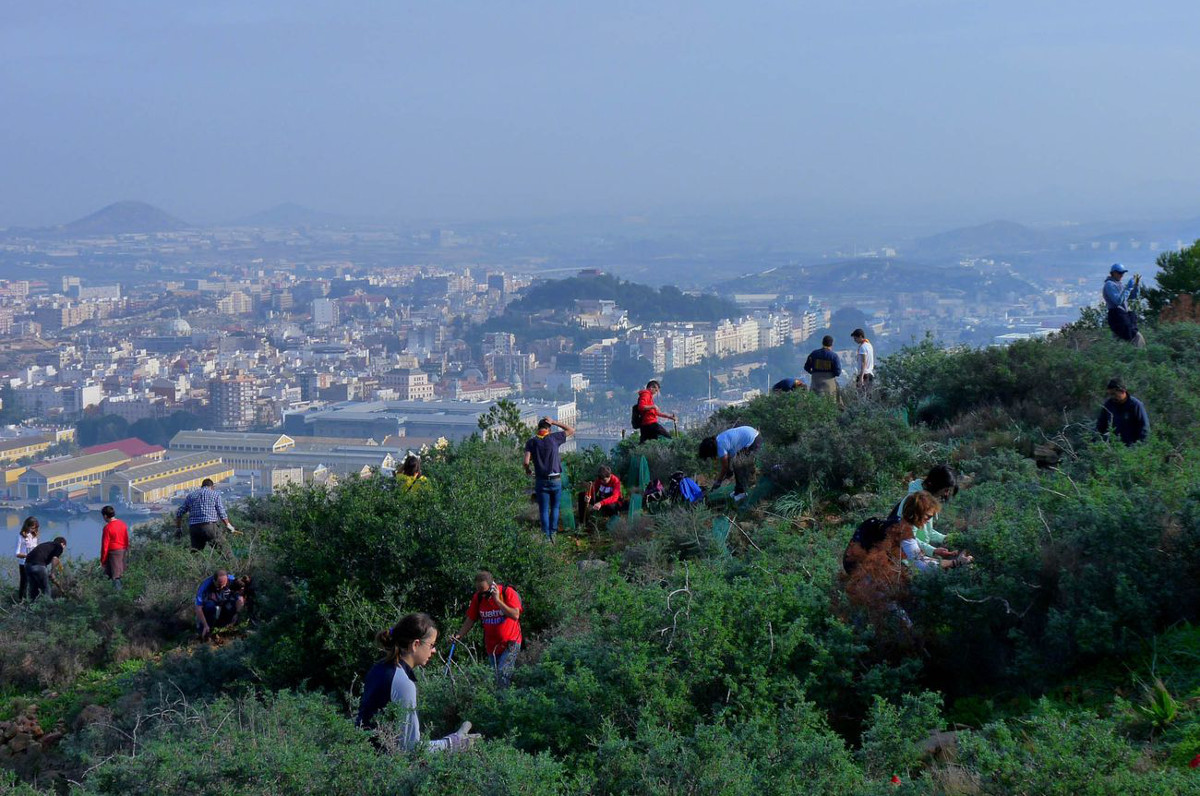 Imagen de archivo de una Jornada de reforestacin en Galeras 