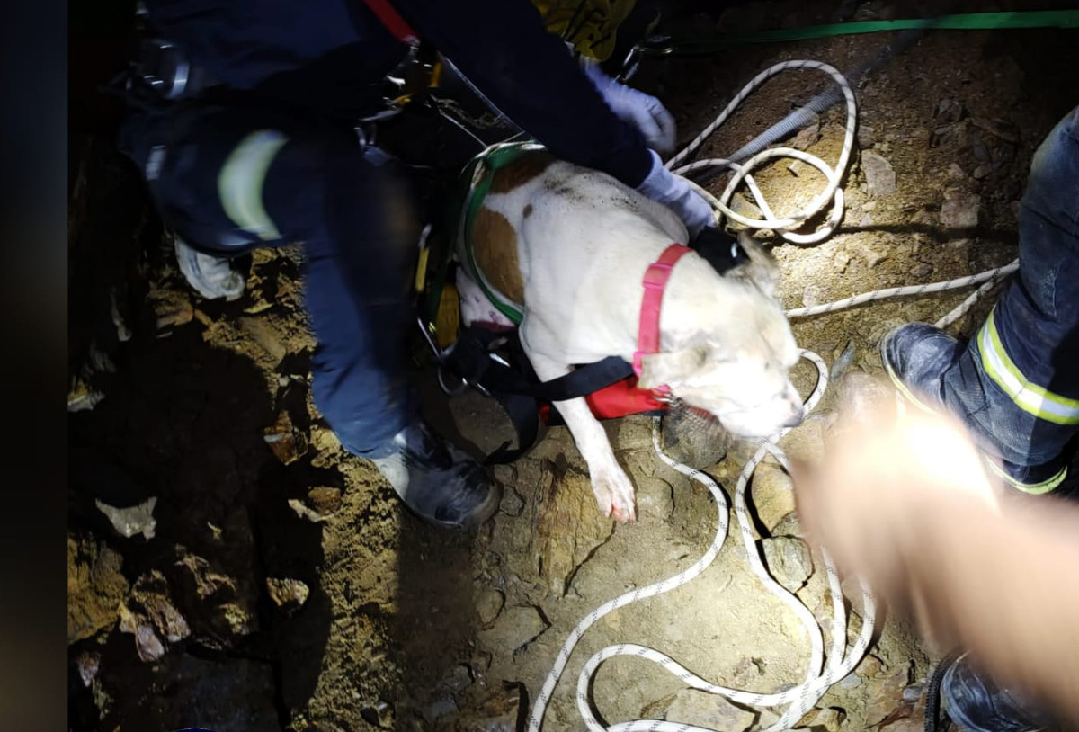 Bomberos rescatan a un perro del interior de un pozo con agua en una mina