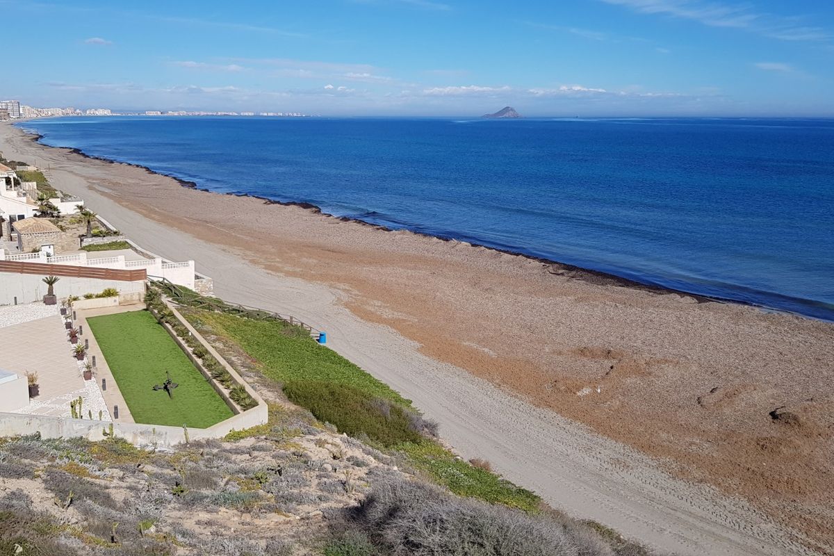 Litoral contina con la limpieza y mantenimiento de arenales del Mar Menor retirando biomasa