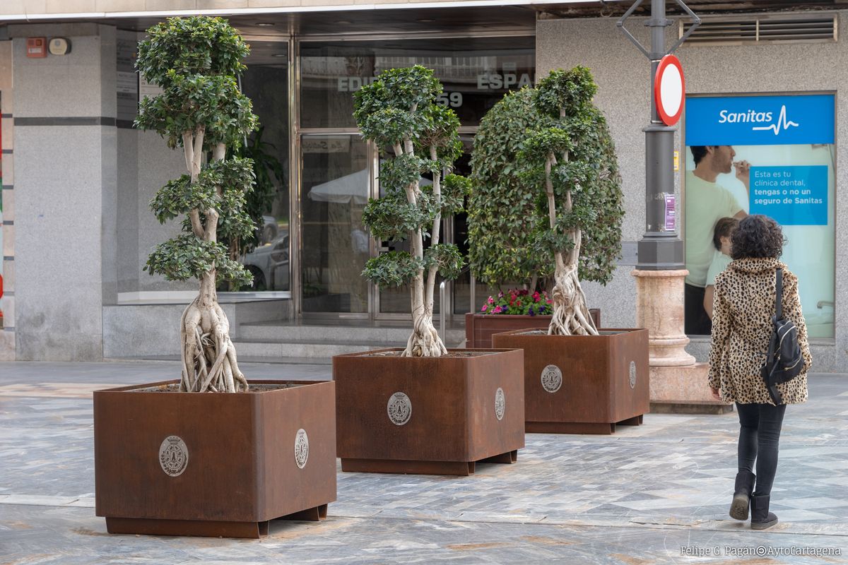 Nuevos maceteros instalados en el centro de la ciudad