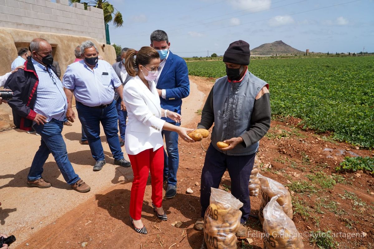 Encuentro con agricultores en una finca de El Algar sobre denominacin de origen de la patata