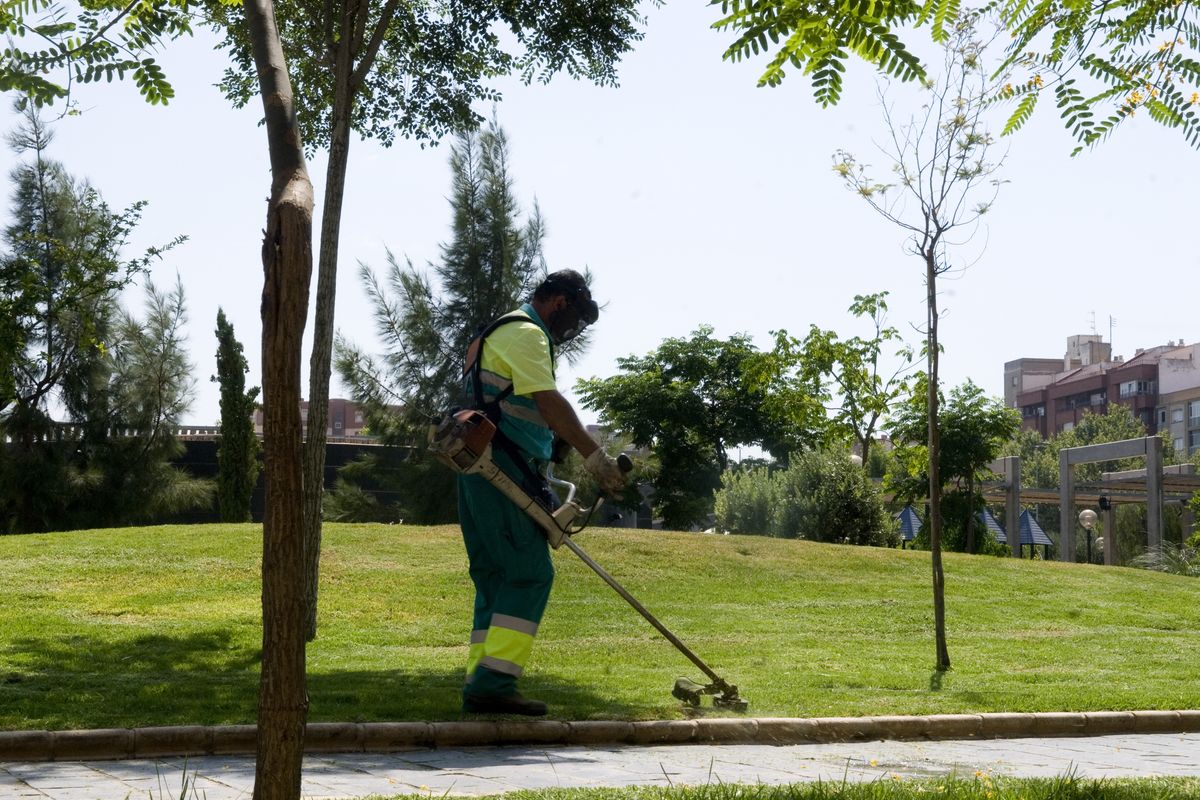 Mantenimiento de Parques y Jardines