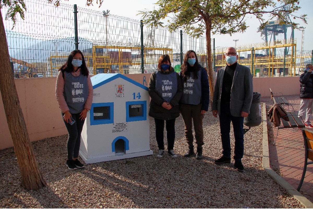 Sanidad instala cinco nuevas casetas para gatos en el municipio