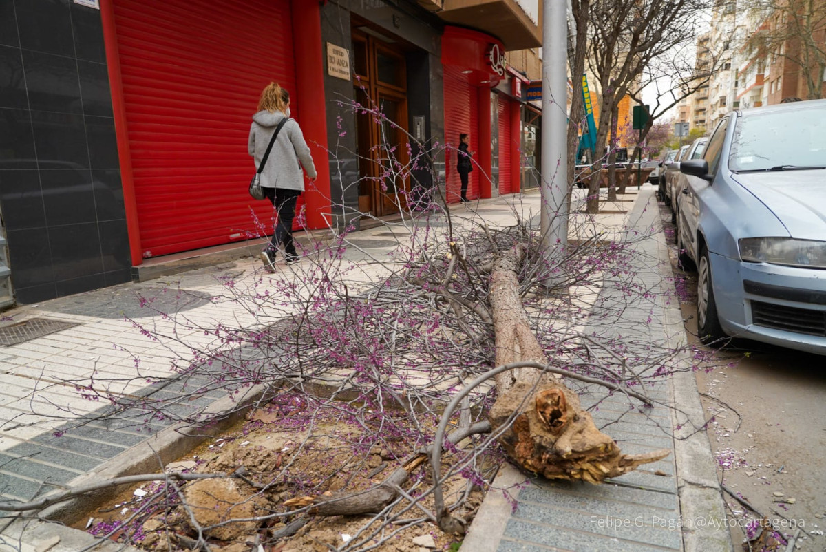 Incidencias provocadas por el viento