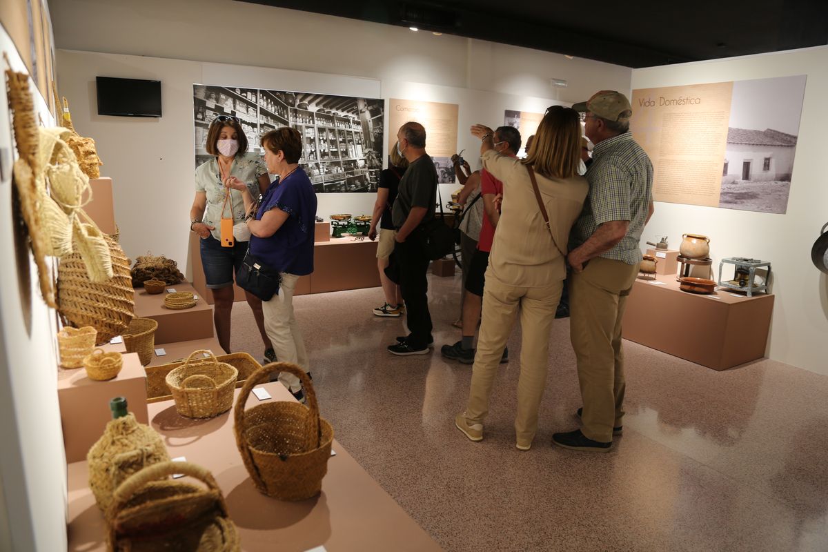 Visita guiada molinos de viento del Campo de Cartagena 