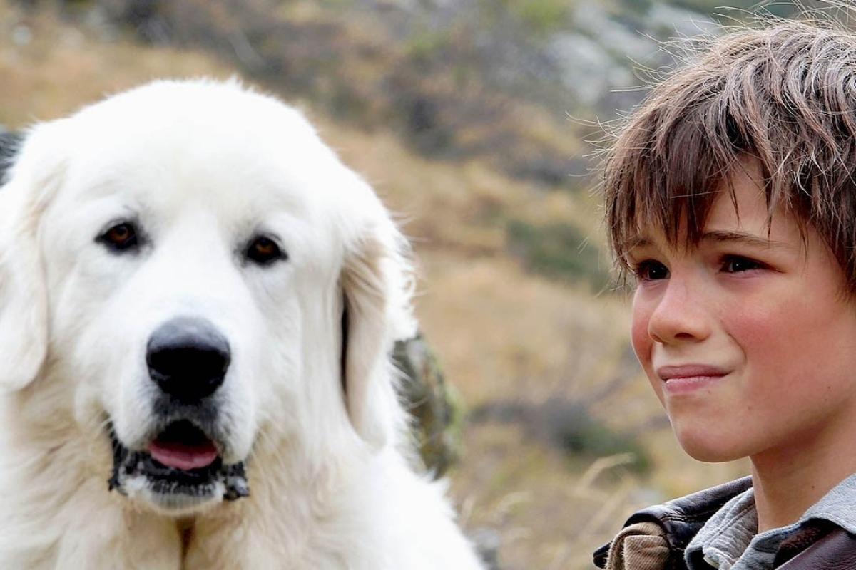 Fotograma de la pelcula Belle et Sbastien'