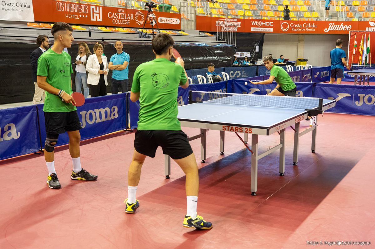 Campeonato de Espaa de Tenis de Mesa 