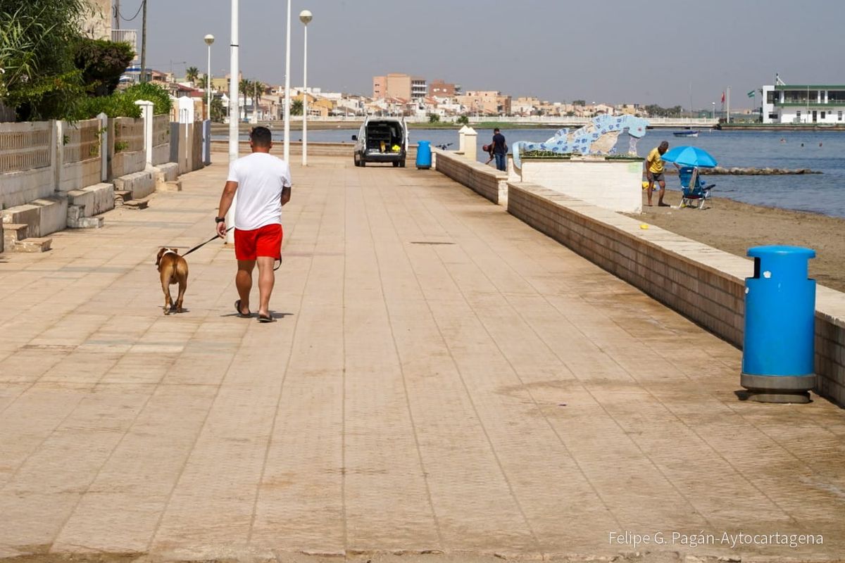 Ciudadano con su mascota por un paseo marítimo