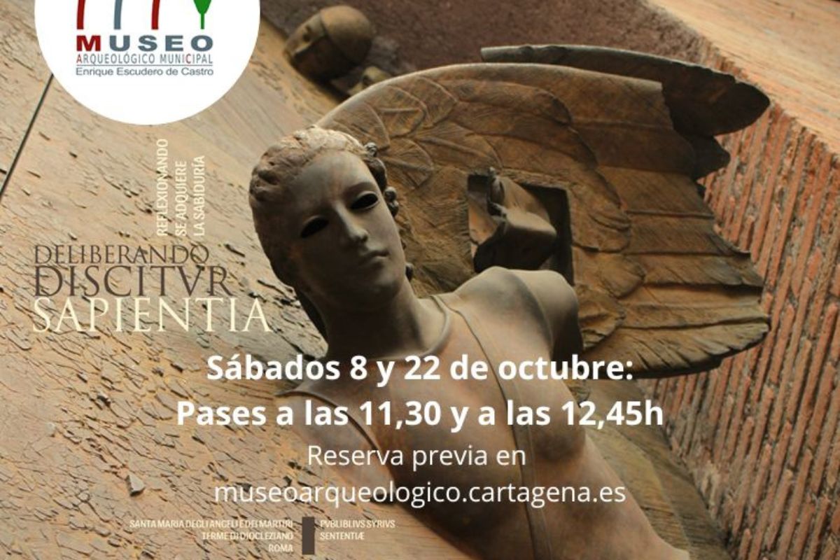 Visitas guiadas de la exposición temporal El Latido de las Piedras en el Museo Arqueológico Municipal
