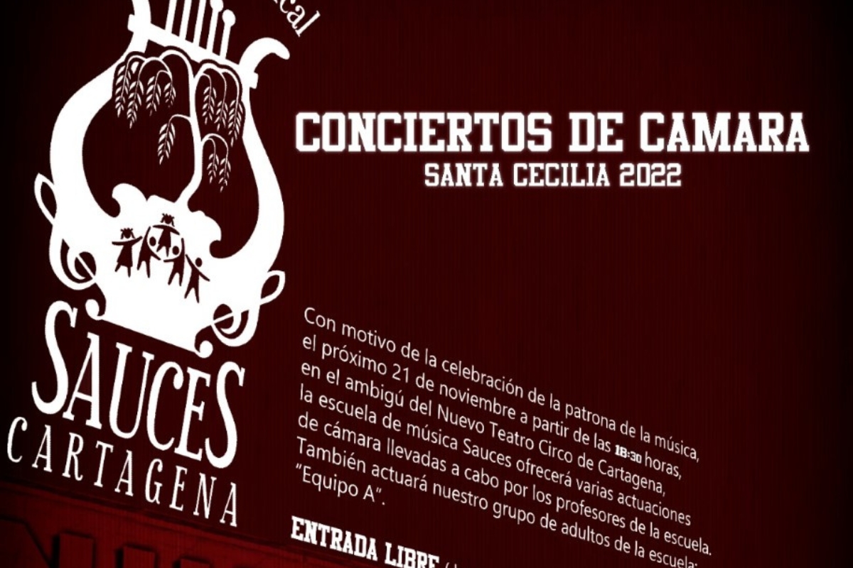 Concierto de música de Sauces en honor a la Patrona de la Música