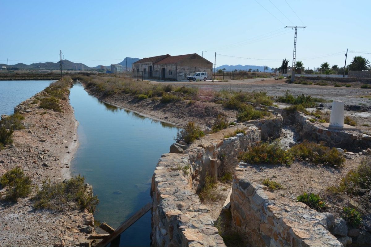 ANSE ya tiene la licencia para iniciar el proyecto de Regeneracin de salinas y arenales en el Mar Menor