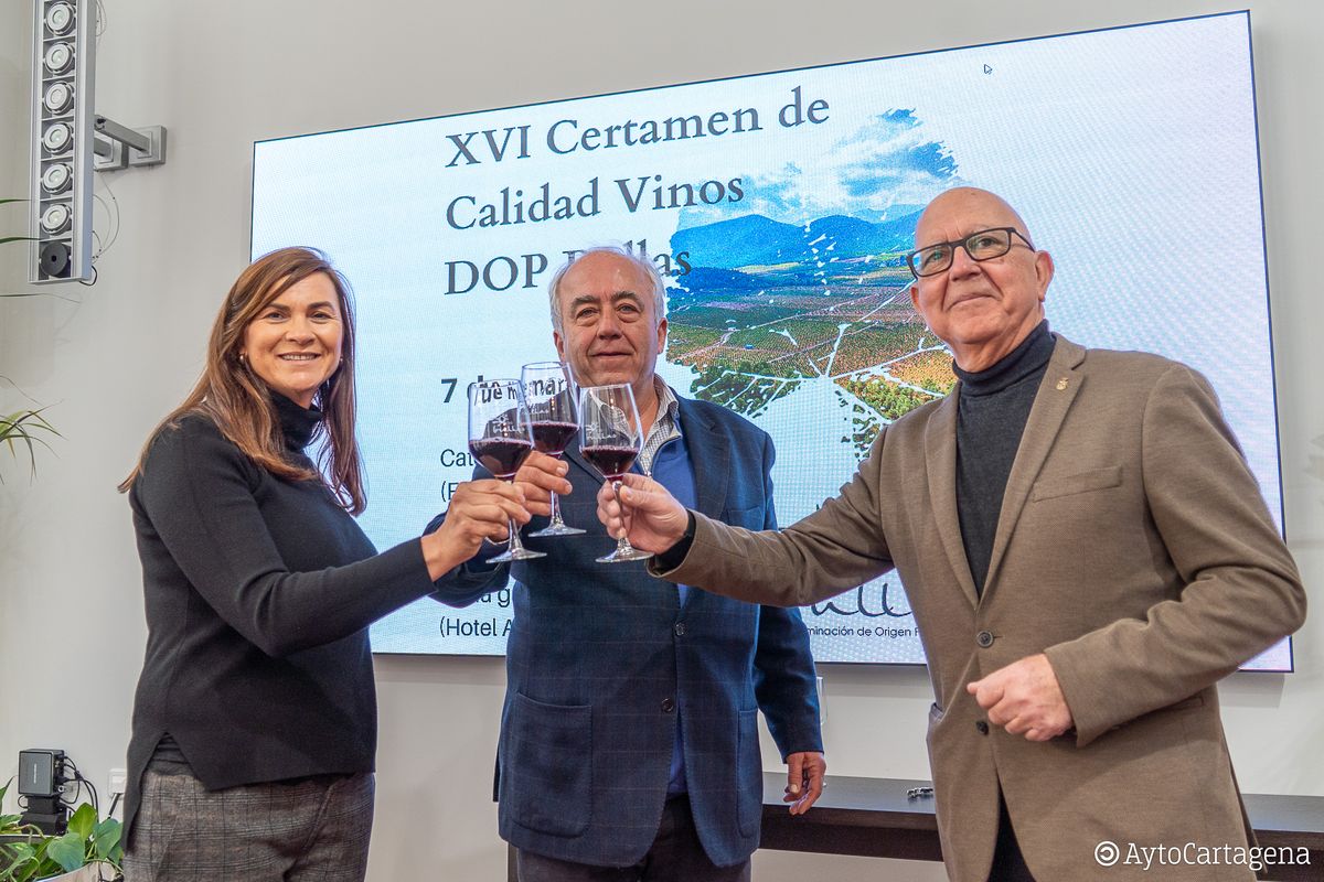 Presentacin encuentro promocin Vinos DOP Bullas